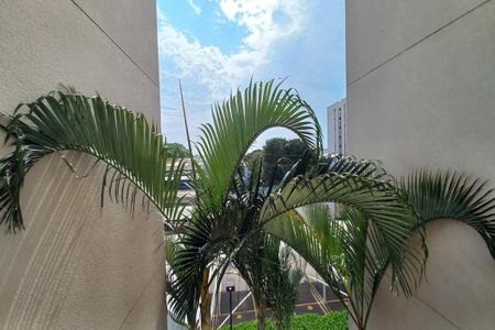 Apartamento à venda com 71m², 3 quartos e 1 vagaVista da Área de Serviço