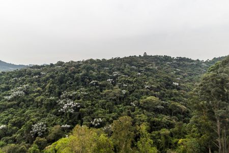 Apartamento à venda com 156m², 3 quartos e 3 vagasVista da Suíte 2