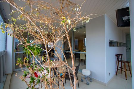 Apartamento para alugar com 330m², 4 quartos e 5 vagas Apartamento para alugar com 330m², 4 quartos e 5 vagasVaranda gourmet