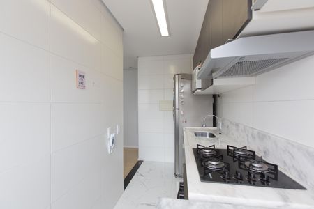 Apartamento para alugar com 40m², 2 quartos e sem vaga Apartamento para alugar com 40m², 2 quartos e sem vagaCozinha