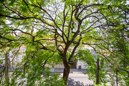 Casa para alugar com 177m², 4 quartos e sem vagaVista do Quarto 4