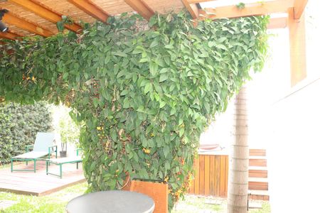 Casa de condomínio para alugar com 211m², 2 quartos e 2 vagasÁrea Externa