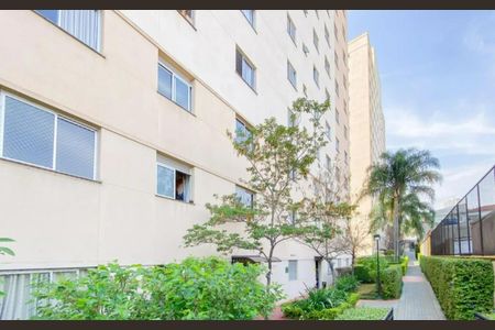 Foto 06 de apartamento à venda com 2 quartos, 47m² em Rio Pequeno, São Paulo