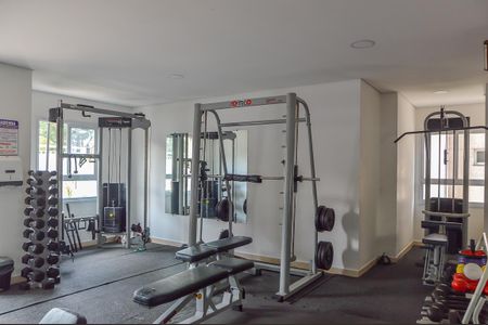 Apartamento à venda com 59m², 2 quartos e 1 vaga Apartamento à venda com 59m², 2 quartos e 1 vagaÁrea comum - Academia