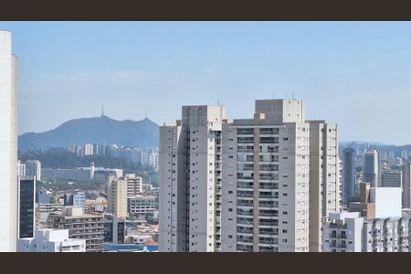 Apartamento à venda com 223m², 3 quartos e 4 vagasVista