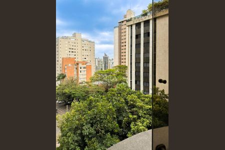 Varanda da Sala de apartamento à venda com 3 quartos, 80m² em Funcionários, Belo Horizonte
