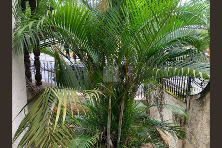 Casa à venda com 212m², 4 quartos e 1 vagaJardins