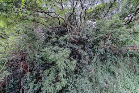 Apartamento para alugar com 66m², 2 quartos e 1 vagaVista da Suíte