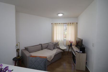 Sala de apartamento para alugar com 2 quartos, 50m² em Vila Alpina, São Paulo