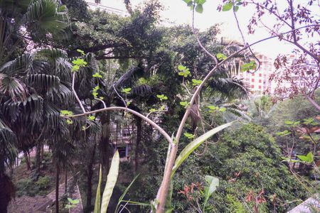 Apartamento à venda com 179m², 3 quartos e 1 vagaVista da Sala 