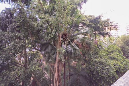 Apartamento à venda com 179m², 3 quartos e 1 vagaVista do Quarto 2 