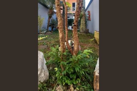 Casa à venda com 238m², 3 quartos e 6 vagas