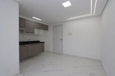 Sala de apartamento para alugar com 2 quartos, 38m² em Parque da Vila Prudente, São Paulo