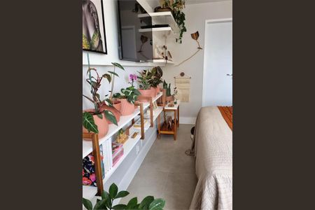 Apartamento à venda com 2 quartos, 67m² em Cambuci, São Paulo