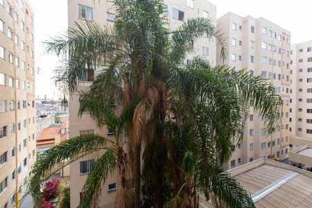 Apartamento à venda com 41m², 2 quartos e sem vagaVista do Quarto 2