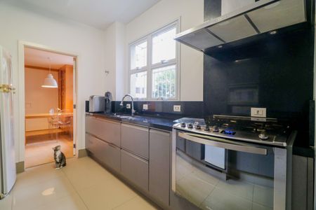 Apartamento à venda com 240m², 3 quartos e 2 vagasCozinha