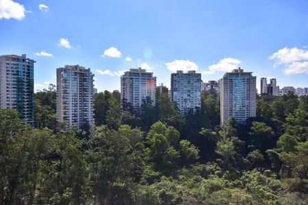 Vista de apartamento para alugar com 4 quartos, 160m² em Jardim Morumbi, São Paulo