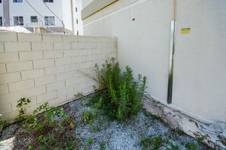 Apartamento para alugar com 38m², 2 quartos e 1 vagaÁrea comum