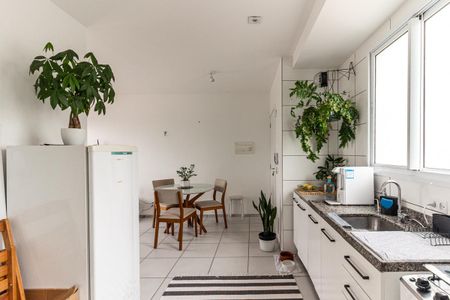 Apartamento à venda com 50m², 2 quartos e sem vagaCozinha