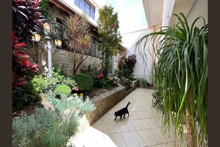 Casa à venda com 353m², 5 quartos e 5 vagasFoto 06