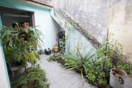 Casa para alugar com 360m², 5 quartos e 3 vagasÁrea de Serviço