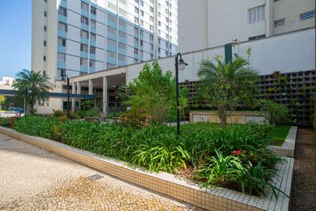 Apartamento à venda com 70m², 2 quartos e sem vagaÁrea comum - Jardim