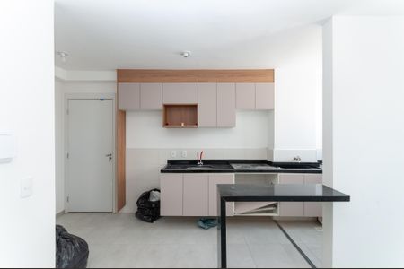 Apartamento para alugar com 39m², 2 quartos e sem vagaCozinha