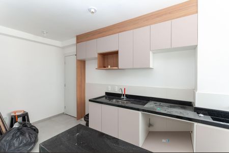 Apartamento para alugar com 39m², 2 quartos e sem vagaCozinha