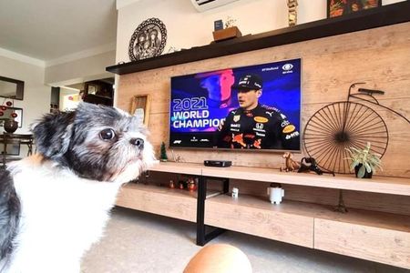 Apartamento à venda com 3 quartos, 98m² em Cambuí, Campinas