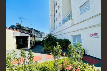 Apartamento para alugar com 53m², 2 quartos e 1 vagaÁrea comum - Churrasqueira