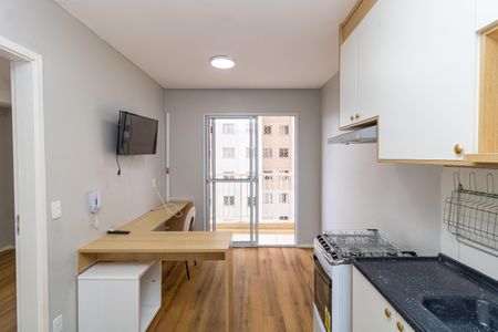 Sala/Cozinha de apartamento para alugar com 1 quarto, 29m² em Parque Vitoria, São Paulo