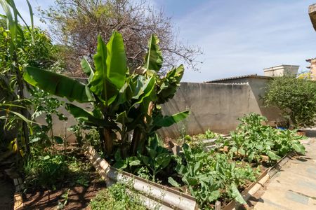 Casa à venda com 437m², 3 quartos e 4 vagas Casa à venda com 437m², 3 quartos e 4 vagasQuintal