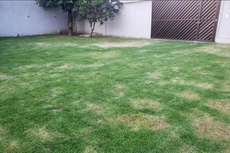 Casa para alugar com 70m², 2 quartos e 1 vaga Casa para alugar com 70m², 2 quartos e 1 vagaQuintal