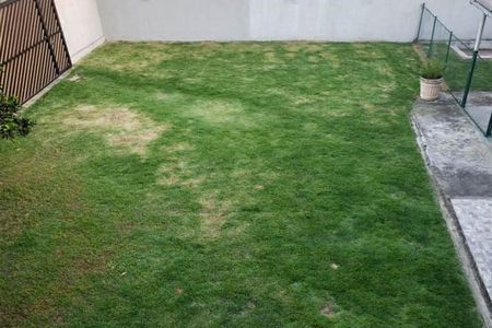 Casa para alugar com 70m², 2 quartos e 1 vaga Casa para alugar com 70m², 2 quartos e 1 vagaQuintal