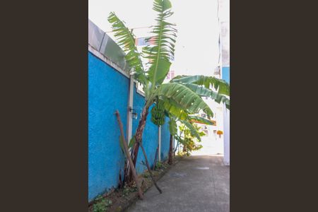 Apartamento para alugar com 60m², 2 quartos e 1 vagaÁrea comum - Salão de festas