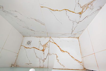 Casa de condomínio para alugar com 70m², 3 quartos e 2 vagas Casa de condomínio para alugar com 70m², 3 quartos e 2 vagasBanheiro da Suíte 1 e 2 Canadense