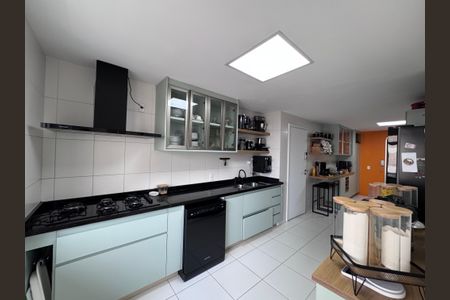 Apartamento à venda com 227m², 3 quartos e 2 vagasCozinha