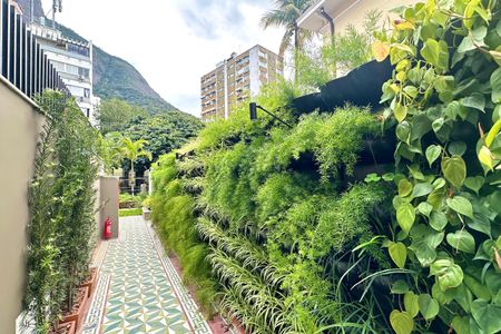 Apartamento para alugar com 34m², 1 quarto e sem vaga Apartamento para alugar com 34m², 1 quarto e sem vagaÁrea comum