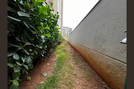 Apartamento para alugar com 41m², 2 quartos e 1 vaga Apartamento para alugar com 41m², 2 quartos e 1 vagaÁrea comum - Espaço Pet