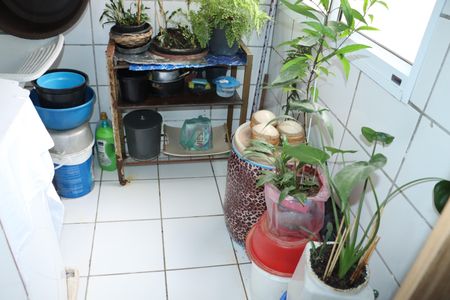 Apartamento para alugar com 50m², 2 quartos e 1 vagaÁrea de Serviço