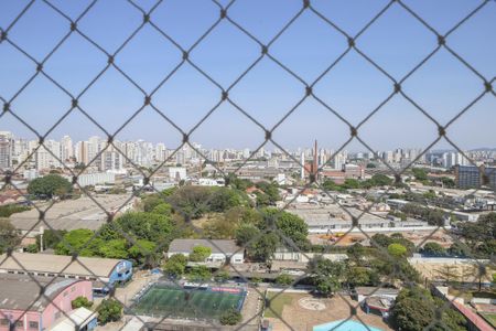 Apartamento para alugar com 241m², 4 quartos e 3 vagas Apartamento para alugar com 241m², 4 quartos e 3 vagasVista do Quarto 1