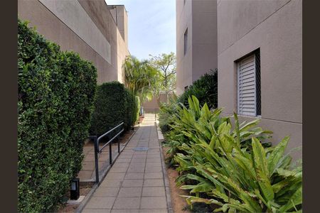 Apartamento à venda com 3 quartos, 69m² em Rio Pequeno, São Paulo