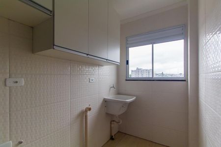 Área de Serviço de apartamento para alugar com 2 quartos, 45m² em Chácara Belenzinho, São Paulo