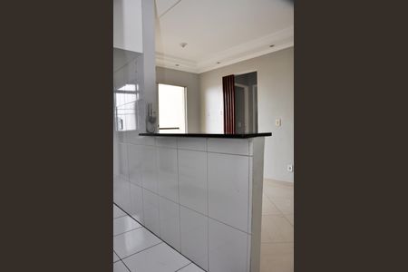 Apartamento para alugar com 46m², 2 quartos e 1 vagaCozinha 