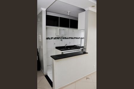 Apartamento para alugar com 46m², 2 quartos e 1 vagaCozinha 
