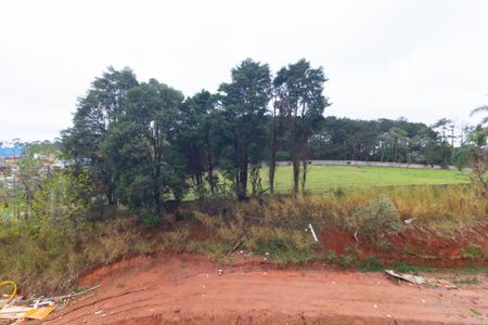 Vista de apartamento para alugar com 2 quartos, 40m² em Colônia (zona Leste), São Paulo