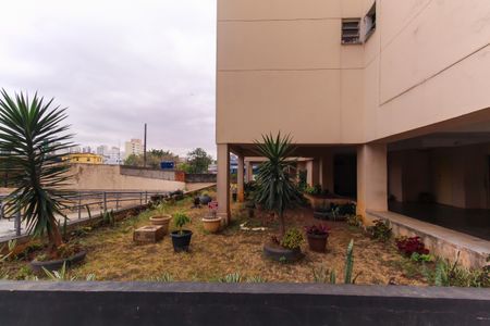 Apartamento para alugar com 57m², 2 quartos e 1 vaga Apartamento para alugar com 57m², 2 quartos e 1 vagaÁrea externa