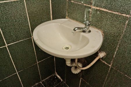 Banheiro de casa para alugar com 1 quarto, 65m² em Jardim Santa Monica, São Paulo