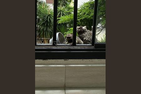 Apartamento à venda com 208m², 4 quartos e 4 vagasÁrea comum