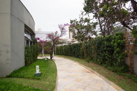 Apartamento para alugar com 153m², 3 quartos e 2 vagas Apartamento para alugar com 153m², 3 quartos e 2 vagasÁrea comum - Caminhada